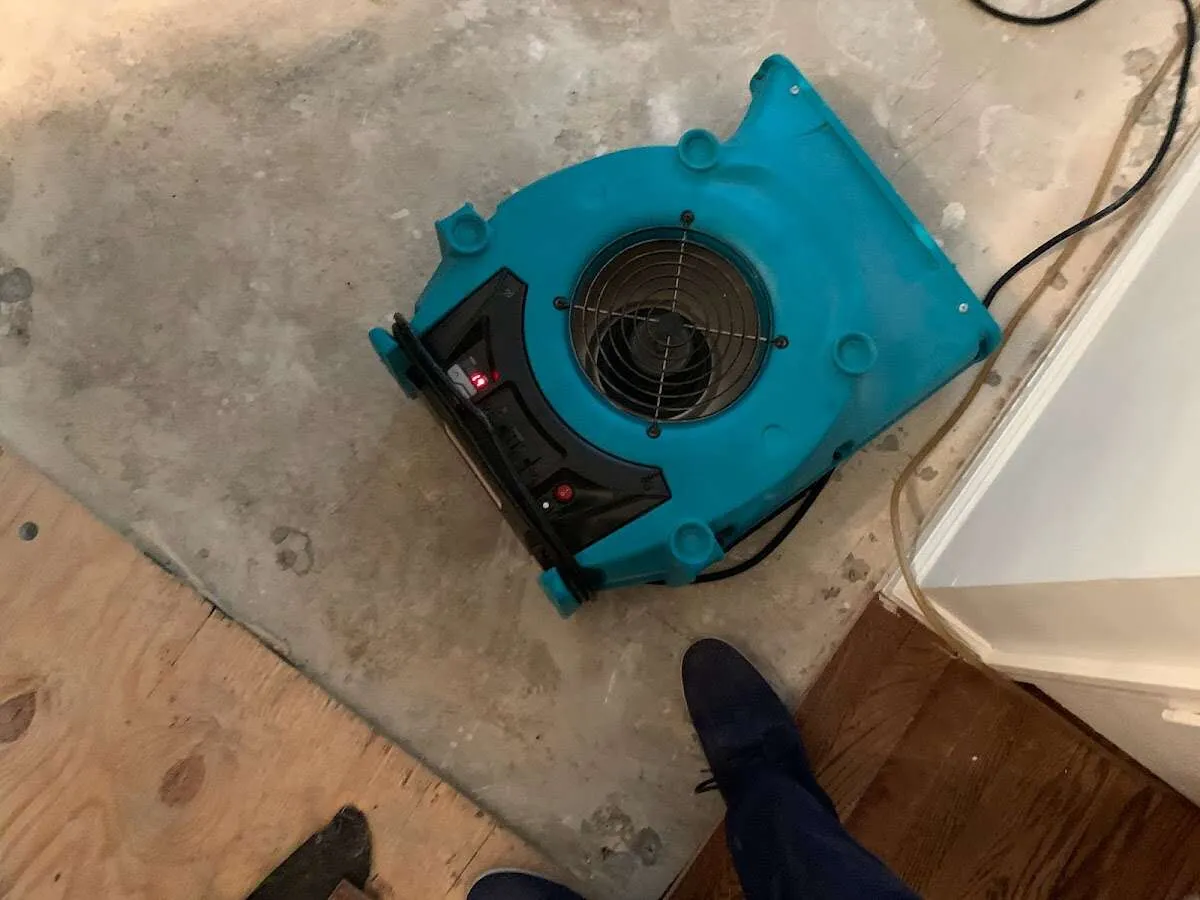 Air mover drying subfloor during Leak Detection & Repair in Belchertown